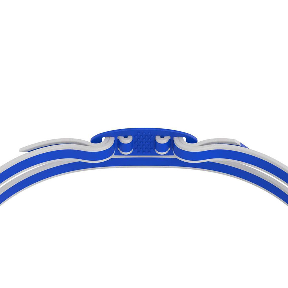 Очки для плавания SPEEDO Vanquisher 3.0