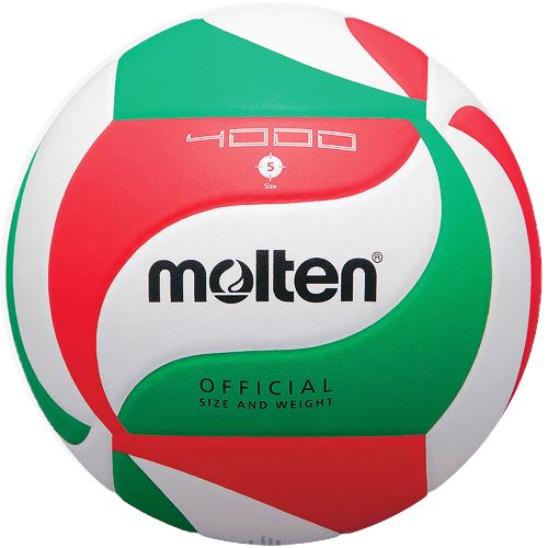 Мяч волейбольный MOLTEN V5M4000X