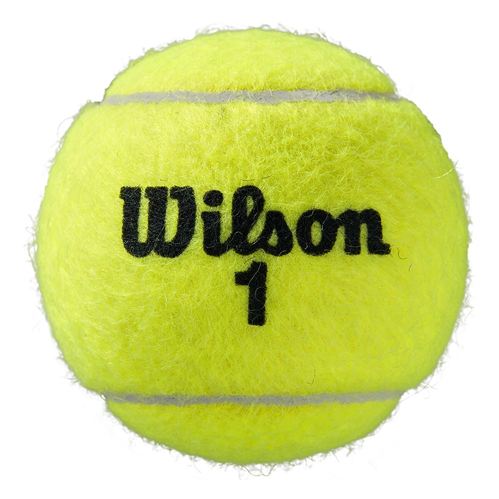 Мяч теннисный WILSON Roland Garros All Court, одобрено ITF, упаковка 4 штуки