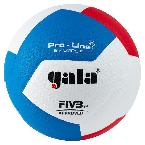 Мяч волейбольный GALA Pro-Line 12, FIVB, профессиональный, размер 5