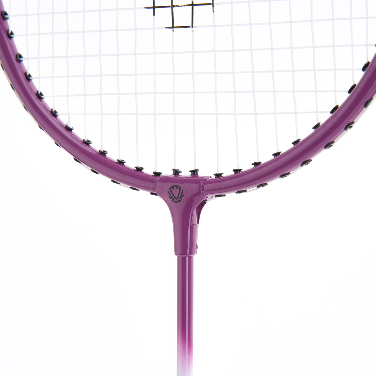 Набор для бадминтона TORRES Leisure Set, 2 ракетки