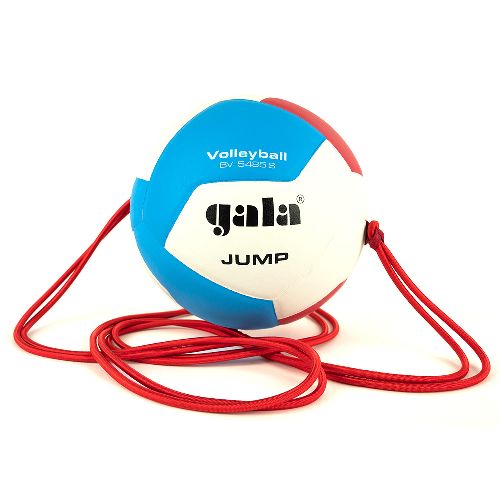 Мяч волейбольный GALA Jump 12, на растяжках, размер 5