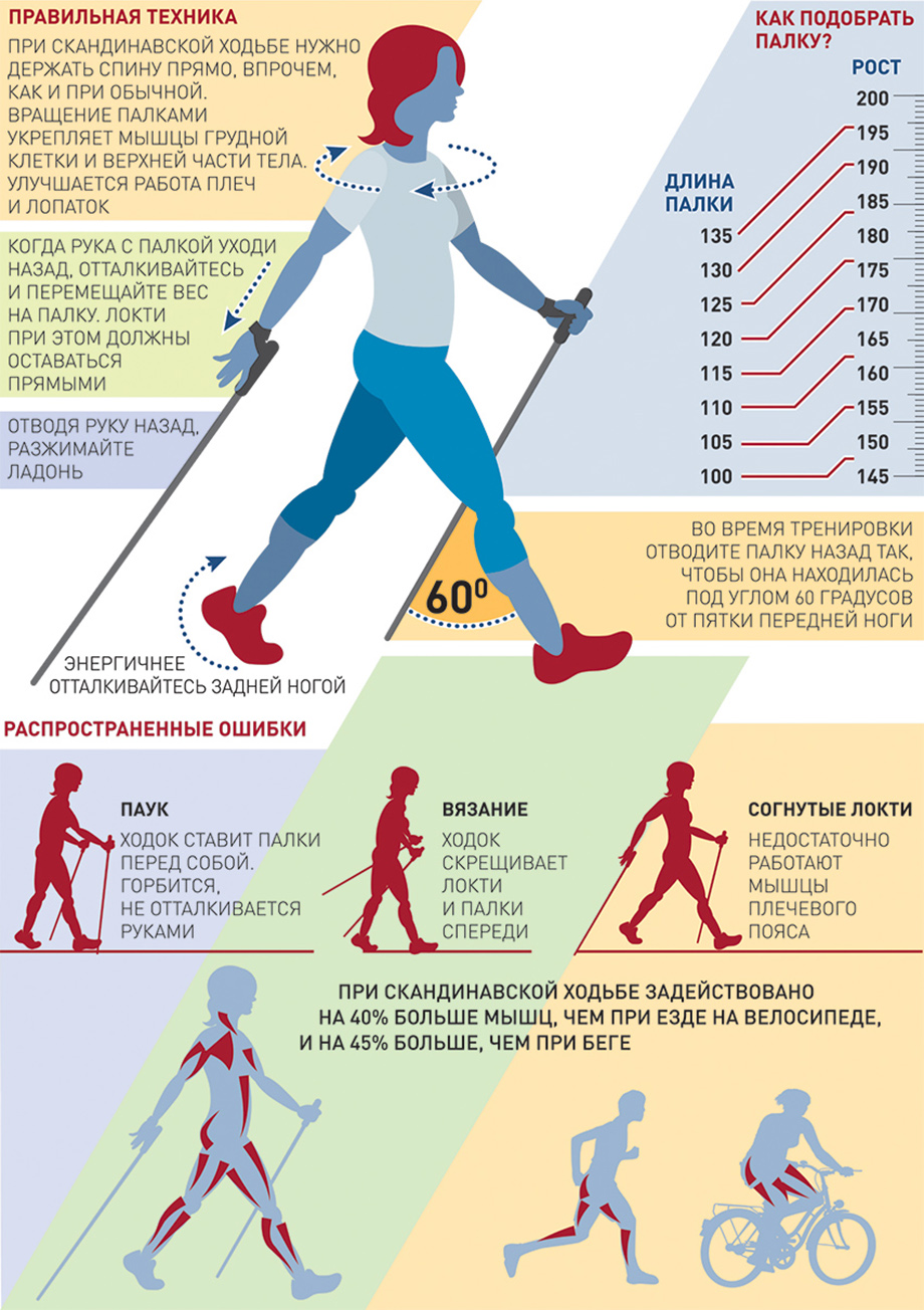 Палки для скандинавской ходьбы Ergo-50 Е-0674, длина 110-140см.