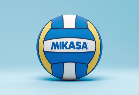 Мячи волейбольные